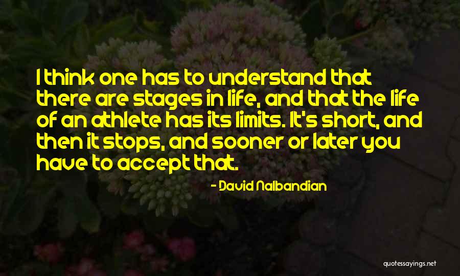 Short Athlete Quotes By David Nalbandian