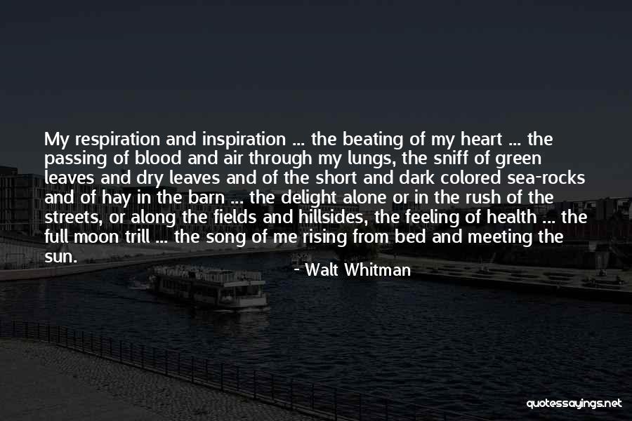 Short Barn Quotes By Walt Whitman