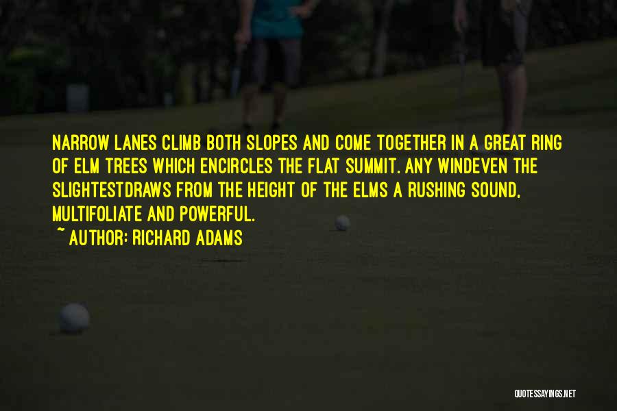 Short Bffs Quotes By Richard Adams