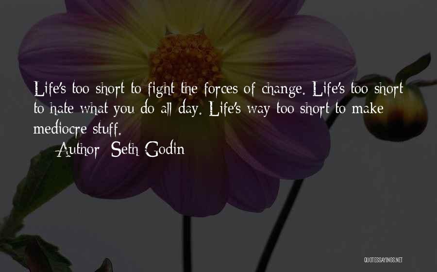 Short Change Quotes By Seth Godin