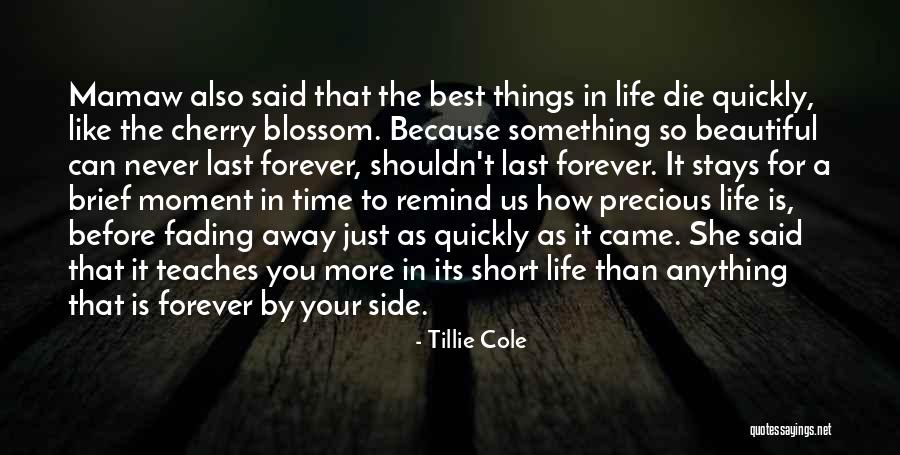 Short Cherry Quotes By Tillie Cole Short Cherry Quotes By Tillie Cole