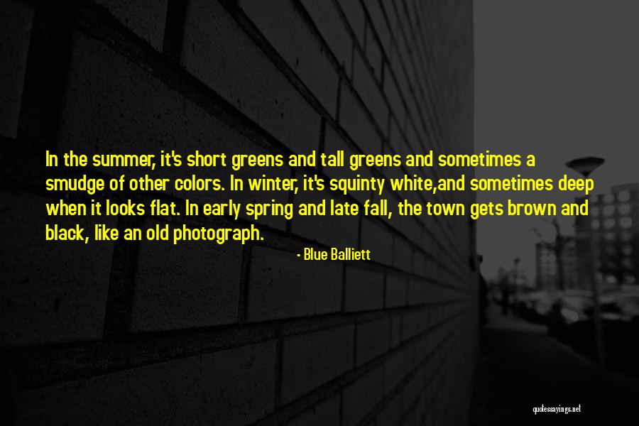 Short Colors Quotes By Blue Balliett Short Colors Quotes By Blue Balliett
