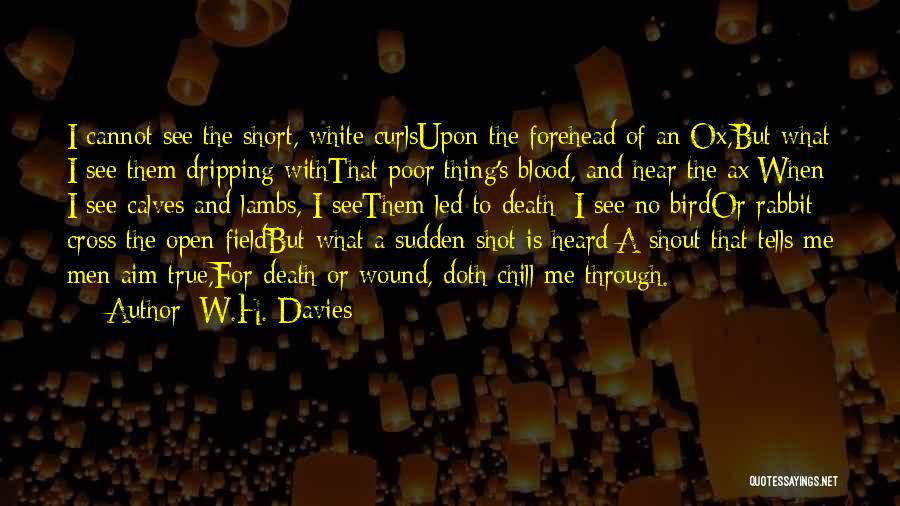 Short Death Quotes By W.H. Davies