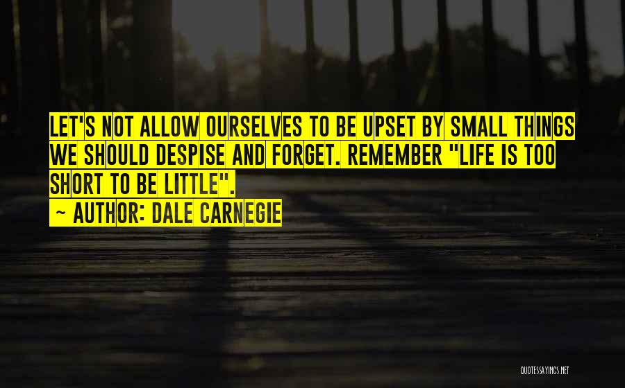 Short Despise Quotes By Dale Carnegie