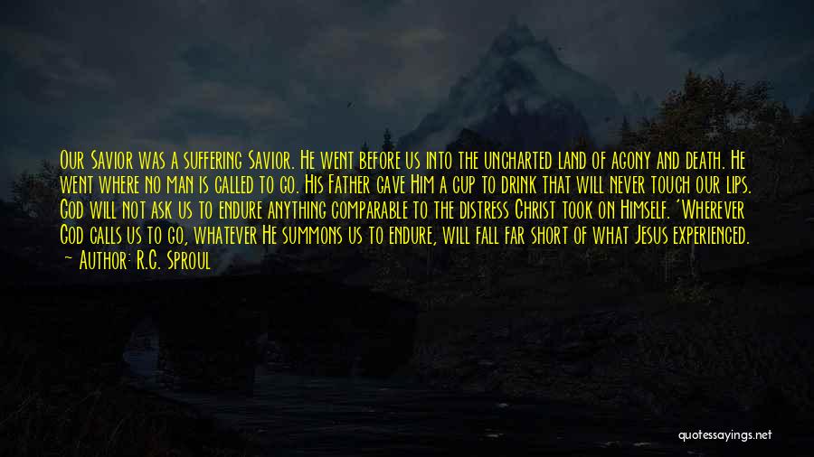 Short Father Death Quotes By R.C. Sproul