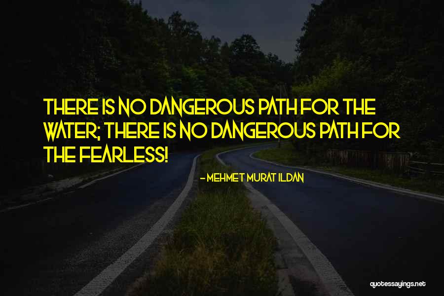 Short Fearlessness Quotes By Mehmet Murat Ildan Short Fearlessness Quotes By Mehmet Murat Ildan