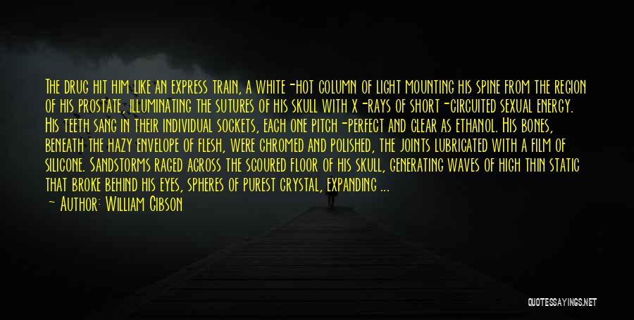 Short Film Quotes By William Gibson