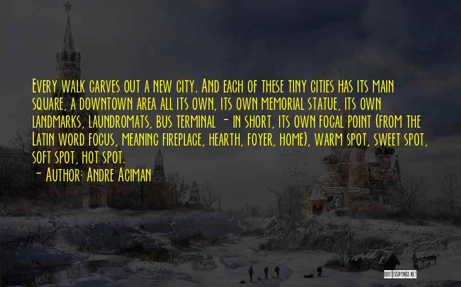 Short Fireplace Quotes By Andre Aciman