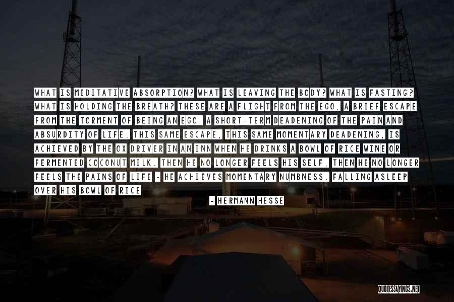 Short Flight Quotes By Hermann Hesse Short Flight Quotes By Hermann Hesse