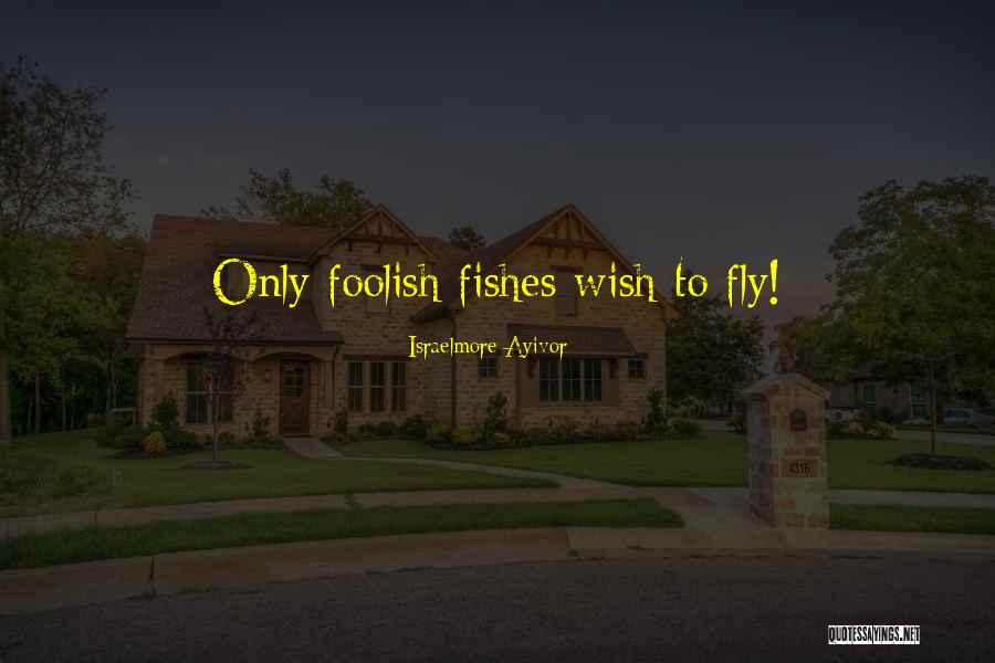 Short Flight Quotes By Israelmore Ayivor Short Flight Quotes By Israelmore Ayivor