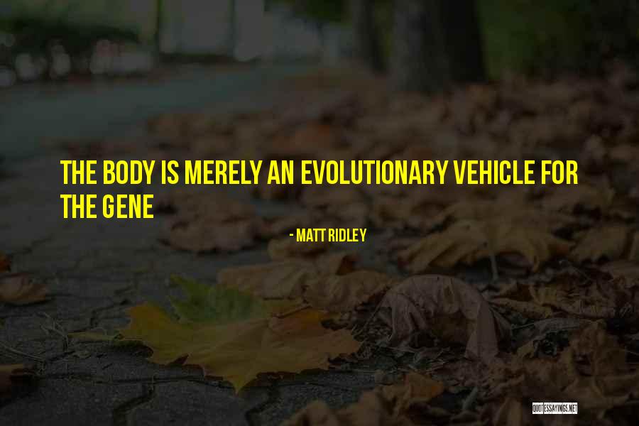 Short Funny Gymnastics Quotes By Matt Ridley Short Funny Gymnastics Quotes By Matt Ridley