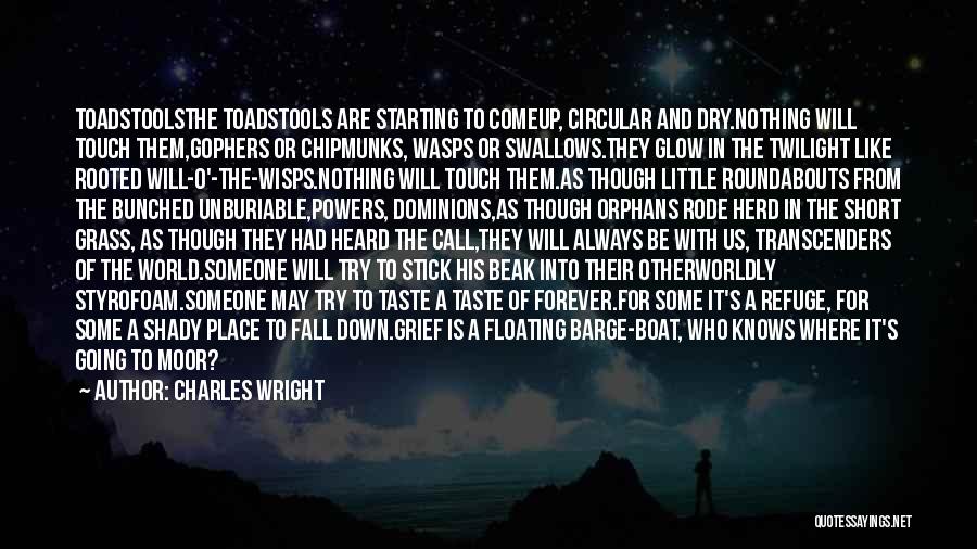 Short Grass Quotes By Charles Wright