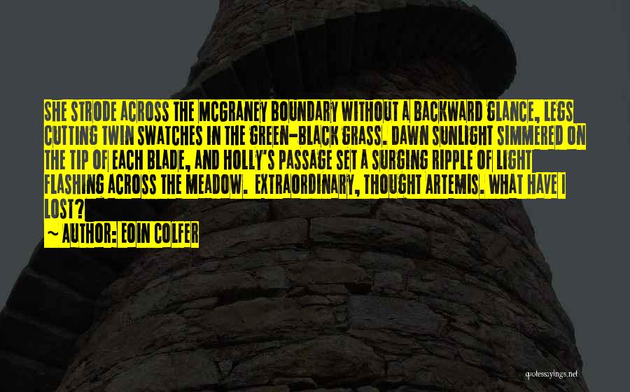 Short Grass Quotes By Eoin Colfer