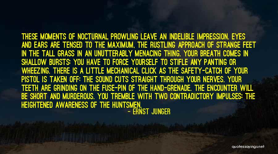 Short Grass Quotes By Ernst Junger