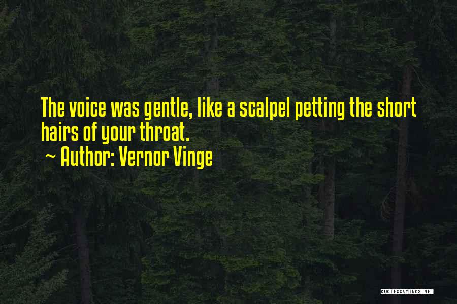 Short Hairs Quotes By Vernor Vinge