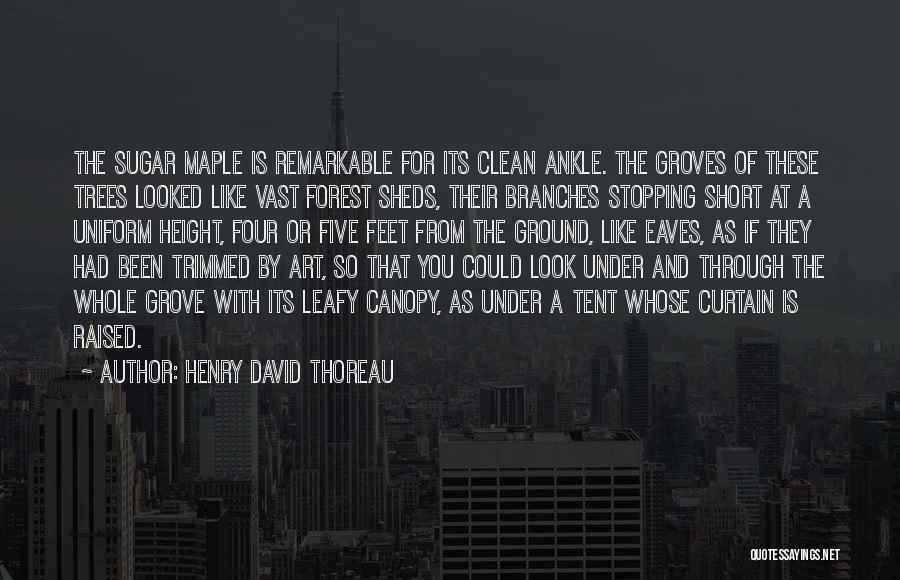 Short Height Quotes By Henry David Thoreau