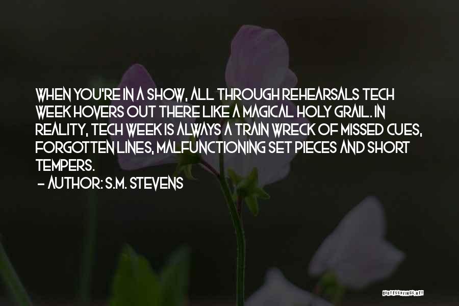 Short Holy Week Quotes By S.M. Stevens