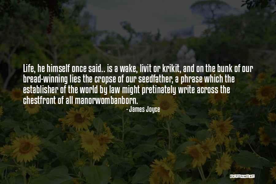 Short Impermanent Quotes By James Joyce Short Impermanent Quotes By James Joyce