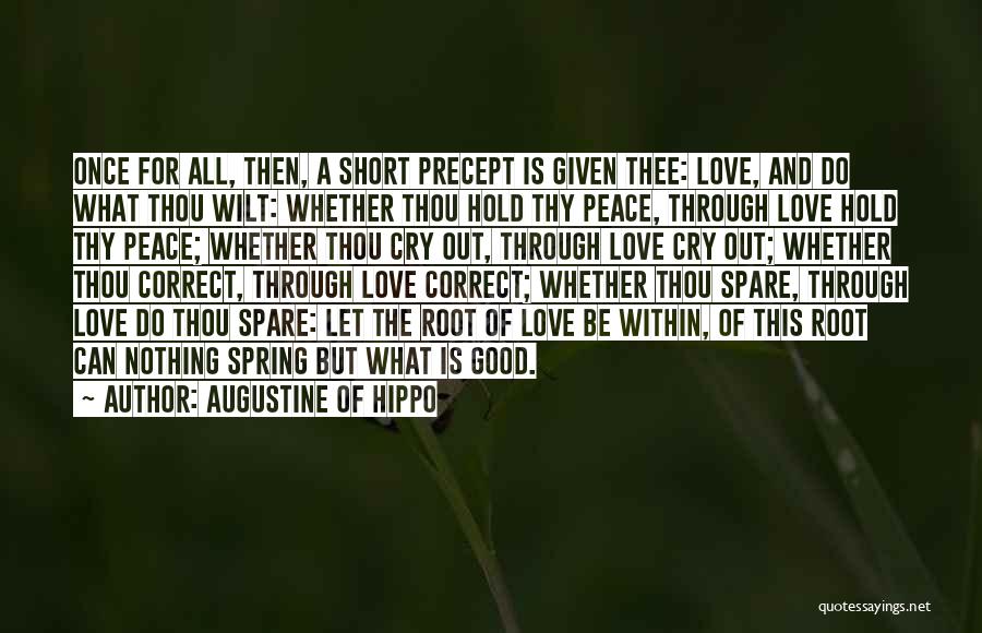 Short Inspirational Life Love Quotes By Augustine Of Hippo