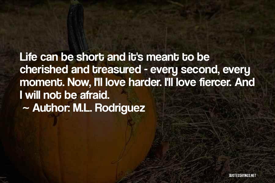 Short Inspirational Life Love Quotes By M.L. Rodriguez