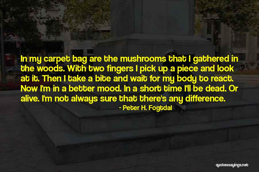 Short Life And Death Quotes By Peter H. Fogtdal