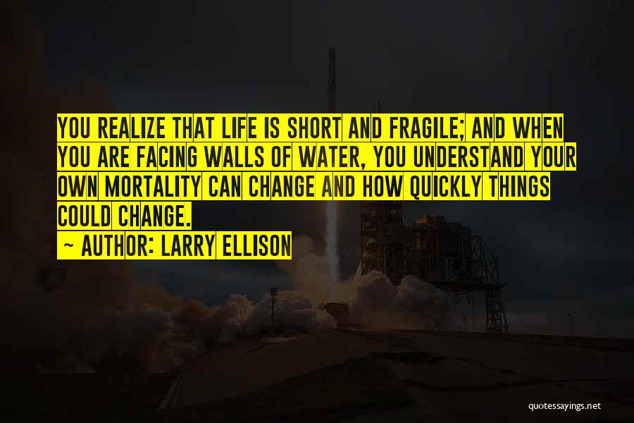 Short Life Change Quotes By Larry Ellison