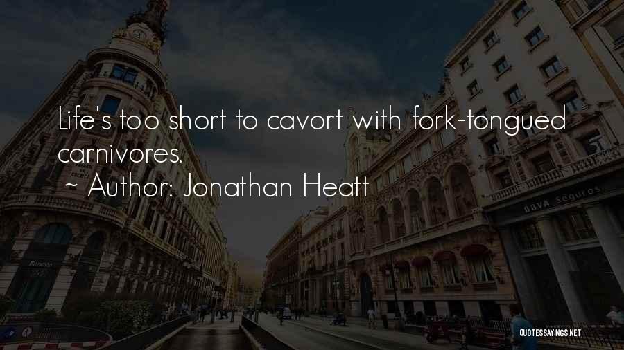 Short Life Lessons Quotes By Jonathan Heatt