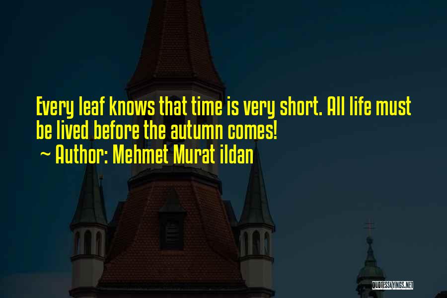 Short Life Well Lived Quotes By Mehmet Murat Ildan