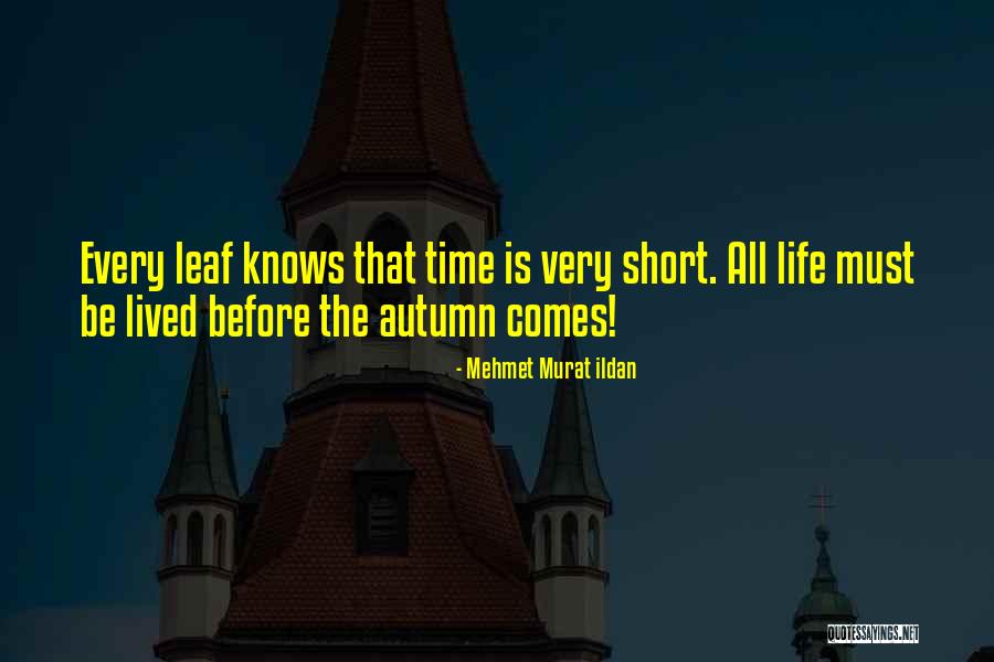 Short Life Well Lived Quotes By Mehmet Murat Ildan