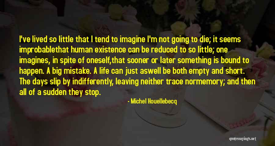 Short Life Well Lived Quotes By Michel Houellebecq