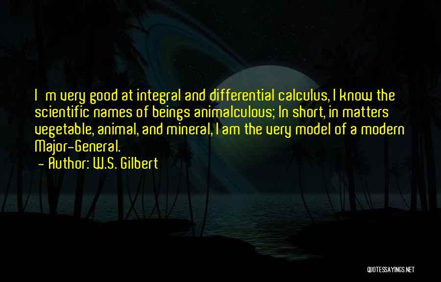 Short Math Quotes By W.S. Gilbert