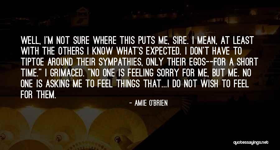 Short Mean Love Quotes By Amie O'Brien