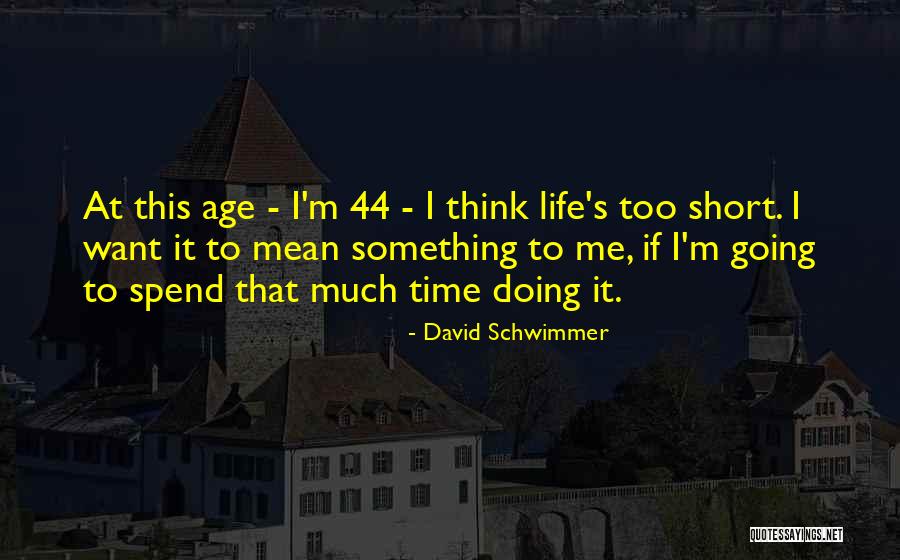 Short Mean Quotes By David Schwimmer Short Mean Quotes By David Schwimmer