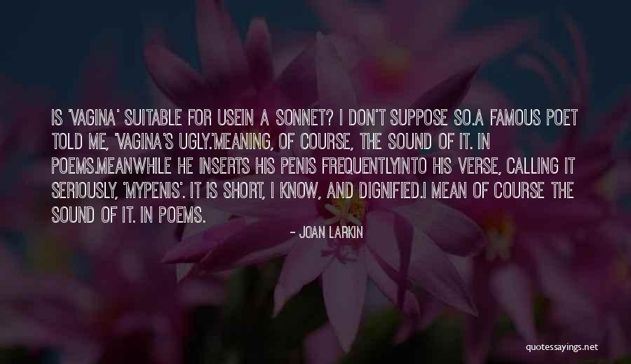Short Mean Quotes By Joan Larkin Short Mean Quotes By Joan Larkin