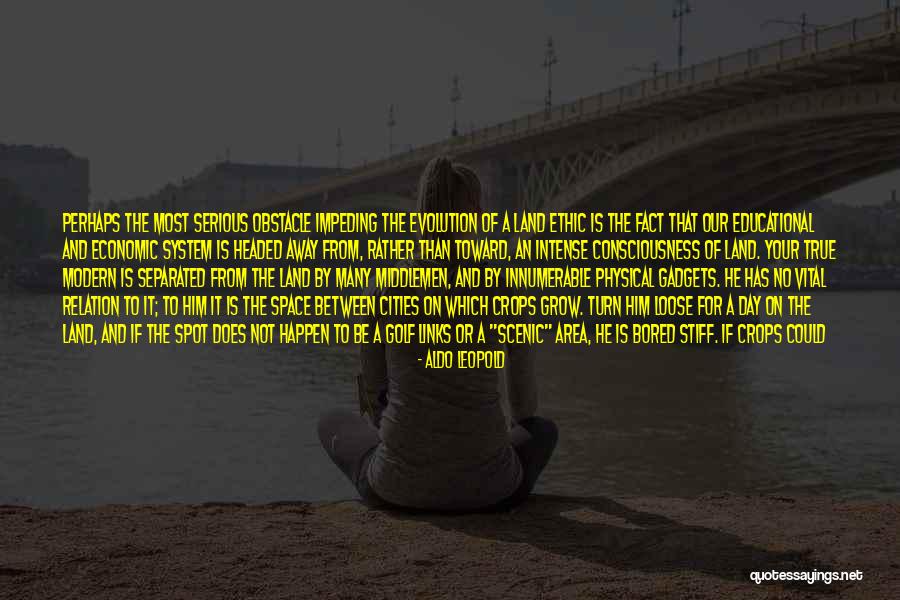 Short Modern Quotes By Aldo Leopold Short Modern Quotes By Aldo Leopold
