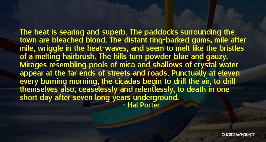 Short Morning Quotes By Hal Porter Short Morning Quotes By Hal Porter