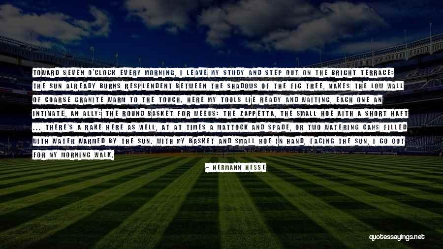 Short Morning Quotes By Hermann Hesse Short Morning Quotes By Hermann Hesse