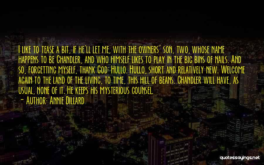 Short My Son Quotes By Annie Dillard