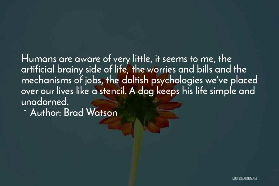 Short No Worries Quotes By Brad Watson