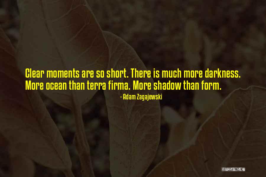 Short Ocean Quotes By Adam Zagajewski Short Ocean Quotes By Adam Zagajewski