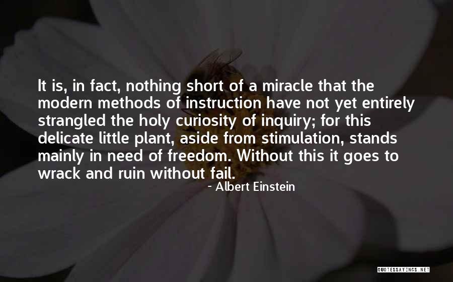 Short Plant Quotes By Albert Einstein Short Plant Quotes By Albert Einstein