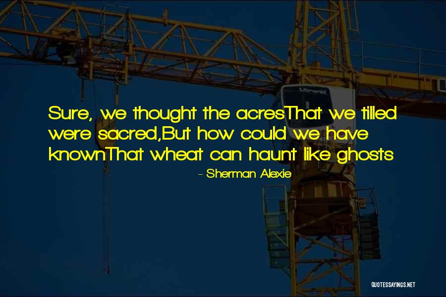 Short Poems Quotes By Sherman Alexie