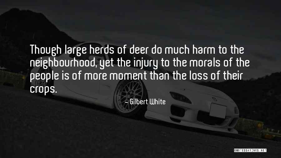 Short Poignant Quotes By Gilbert White Short Poignant Quotes By Gilbert White
