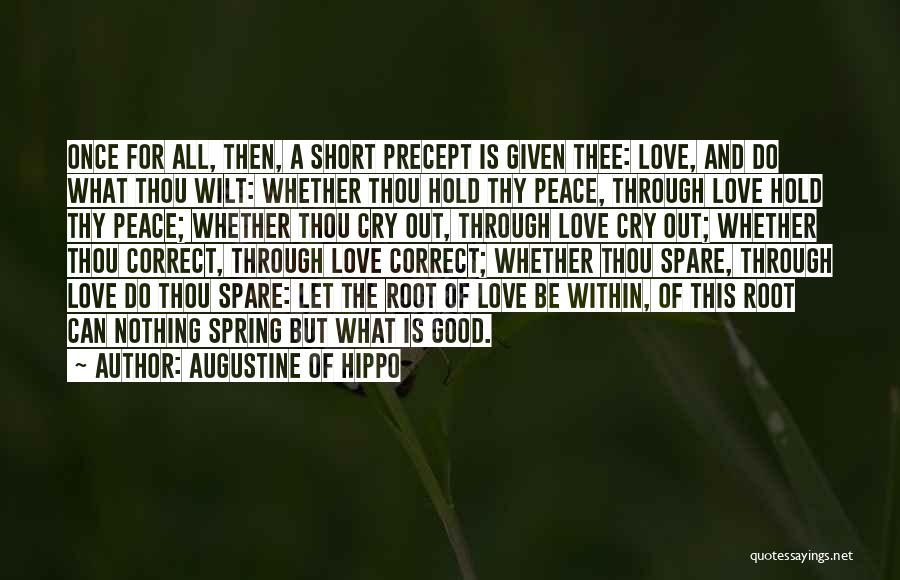 Short Precept Quotes By Augustine Of Hippo