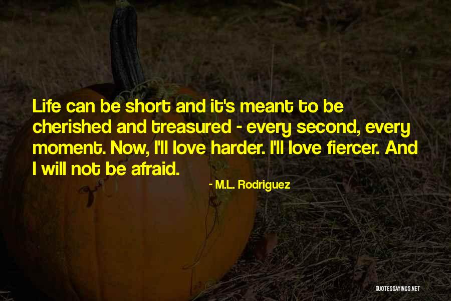 Short Romance Quotes By M.L. Rodriguez