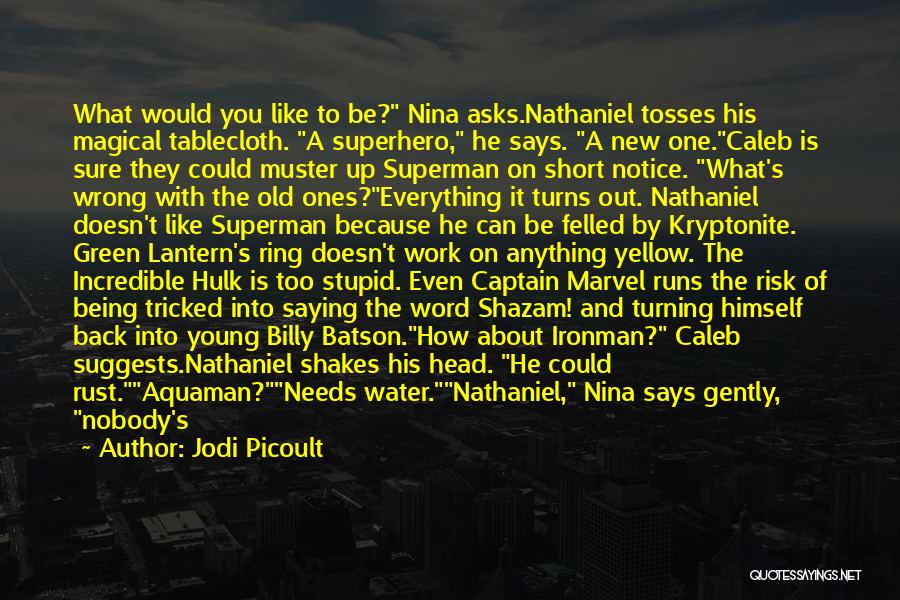 Short Superhero Quotes By Jodi Picoult