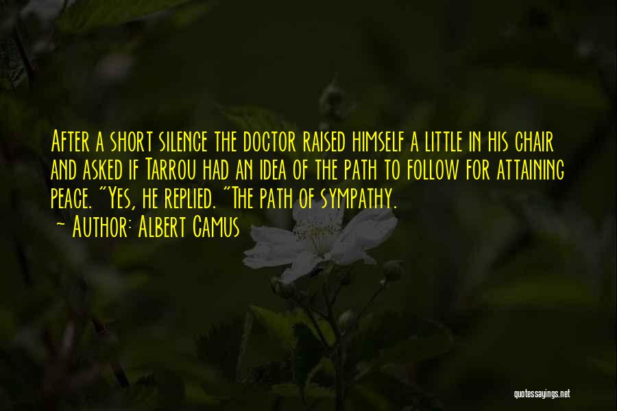 Short Sympathy Quotes By Albert Camus