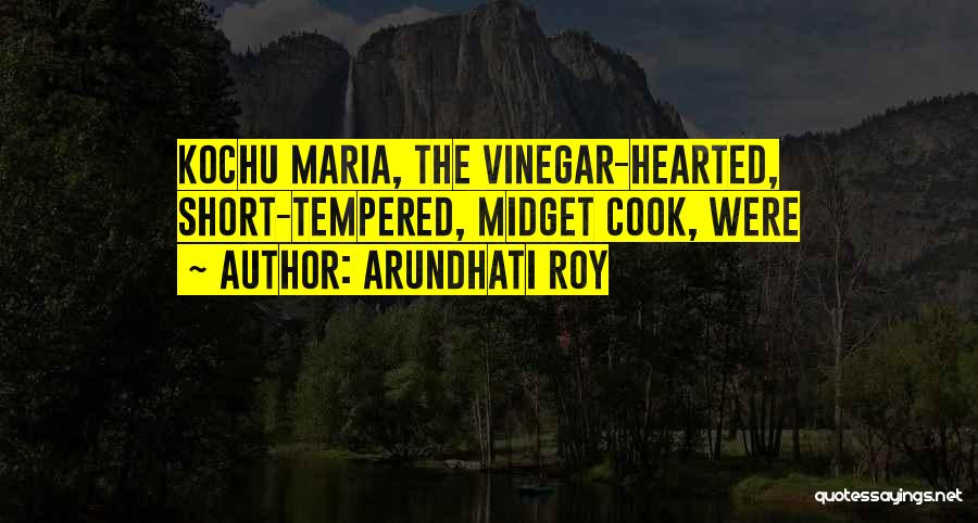 Short Tempered Quotes By Arundhati Roy