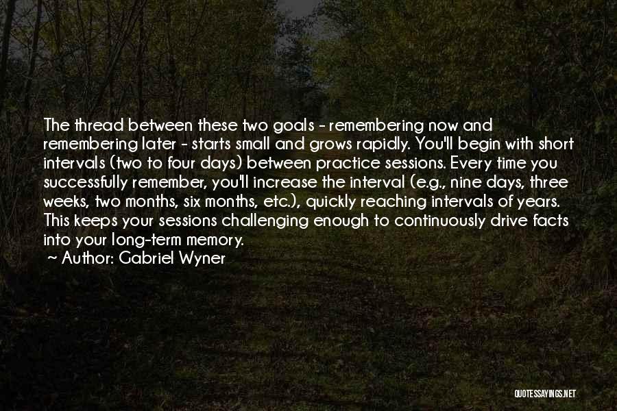 Short Term And Long Term Goals Quotes By Gabriel Wyner