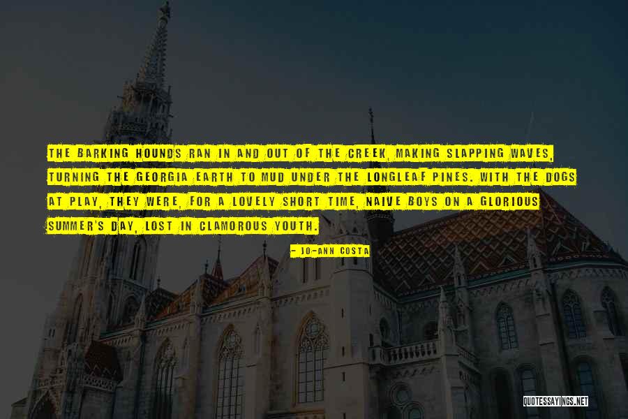 Short Time On Earth Quotes By Jo-Ann Costa Short Time On Earth Quotes By Jo-Ann Costa